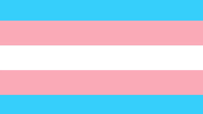 Trangender Flag
